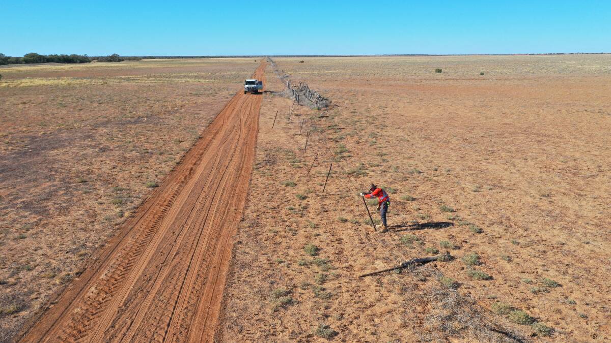 Removing 300km of old barbed wire fencing underway. Photos supplied.