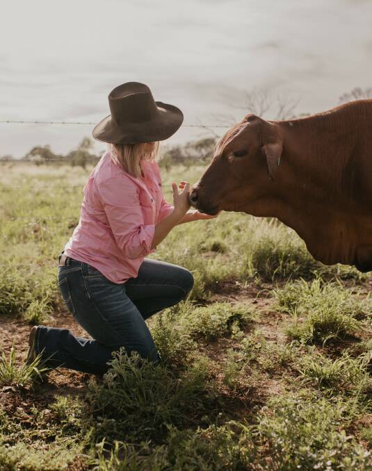 Alina Hart with one of the Santa Gertrudis breeders they run at Muttama. Picture: Maddie Brown Photography