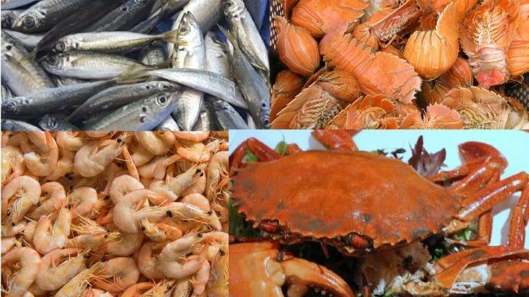 Seafood industry fishing for more data