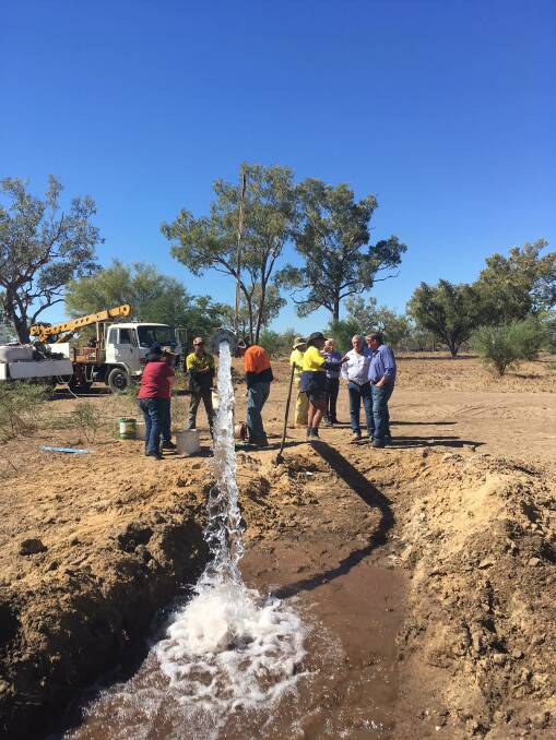 Life blood: Success in the search for water for Hughenden's irrigated agriculture project. Photo supplied.