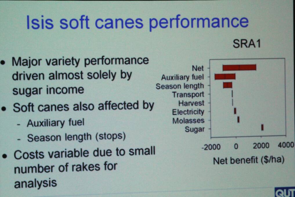 Softer canes explored at sugar conference