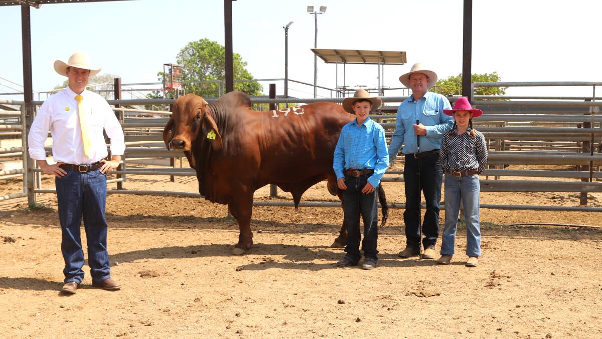 Liam Kirkwood, Ray White Geaney Kirkwood, with the top priced red Brahman bull, Stockman Truman and vendors Harrison, Chris and Genevieve McCarthy, Stockman Red Brahmans, Junction View. Picture: Sally Gall
