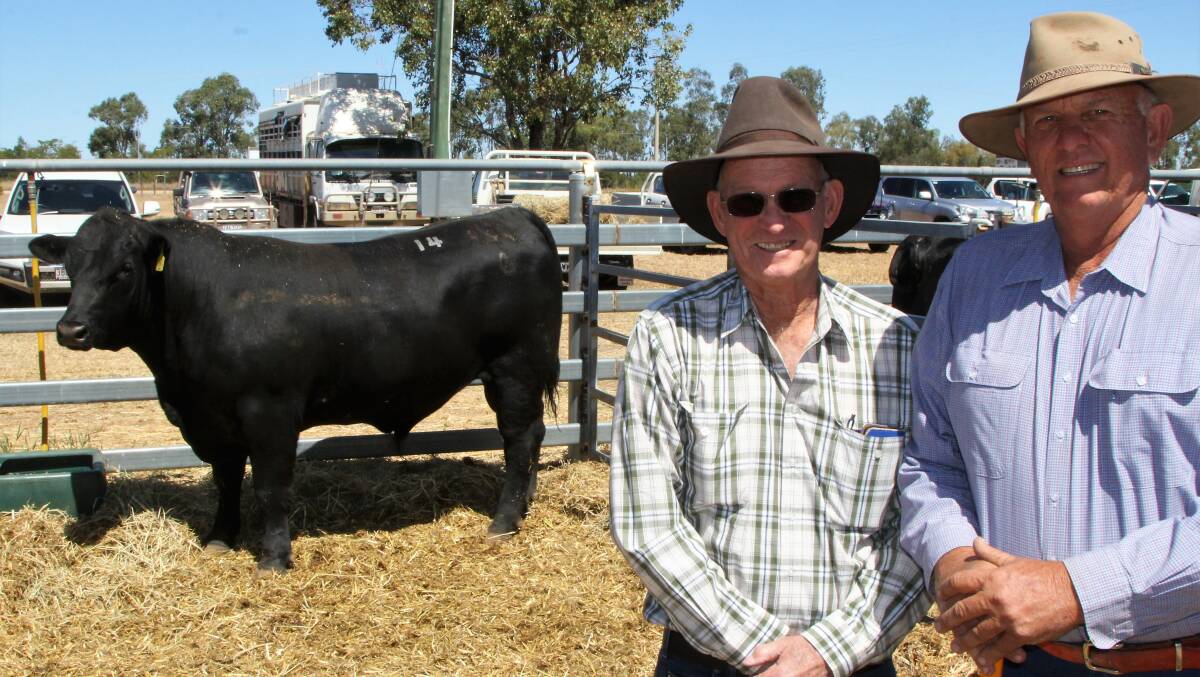 The third highest priced bull of the sale, Callandoon N48, was also purchased by Prairie's Clive Poole, pictured here with vendor Glen McKinlay.
