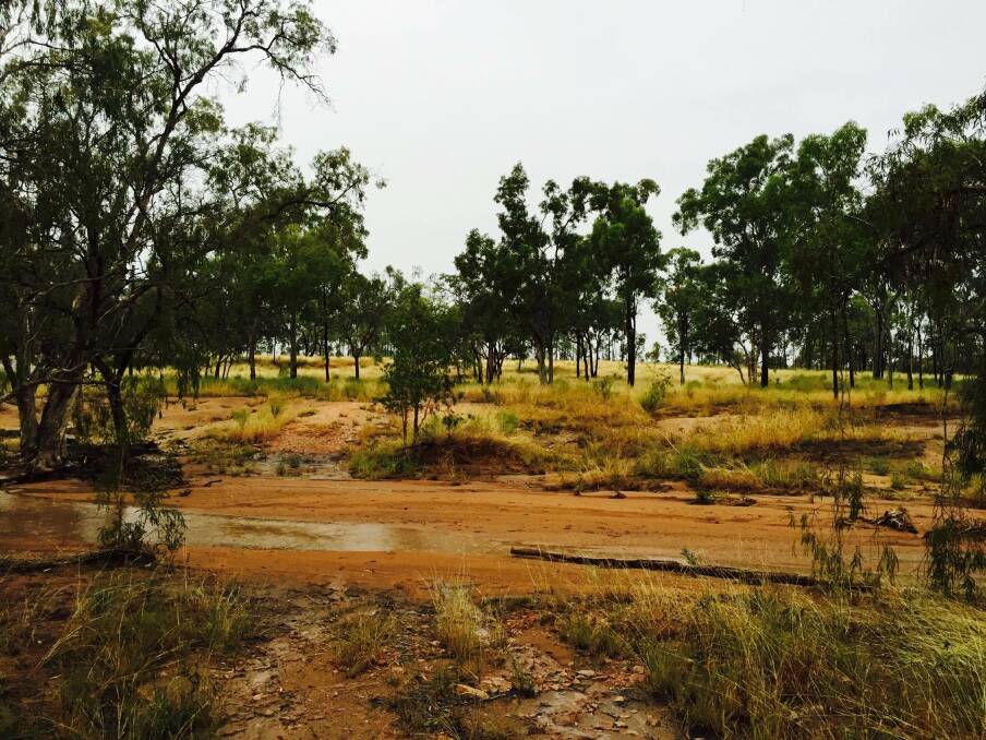 Out of season rain is soaking in well at Clancella Downs, Charters Towers. Photo by Kylie Stretton.