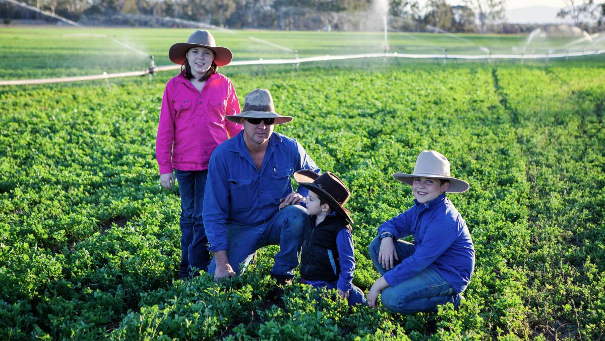 Steve Raine and his children Lily, Hugh and Lachlan Raine in a lucerne crop, are among those fearing for their future, thanks to cutbacks in bore water allocations.