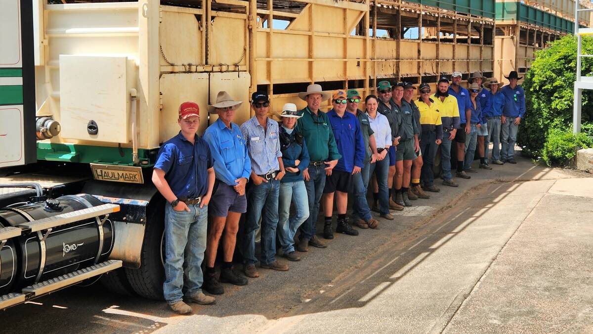 Some of the participants taking part in the livestock handling workshops in Charters Towers last week. Pictures: Sally Gall