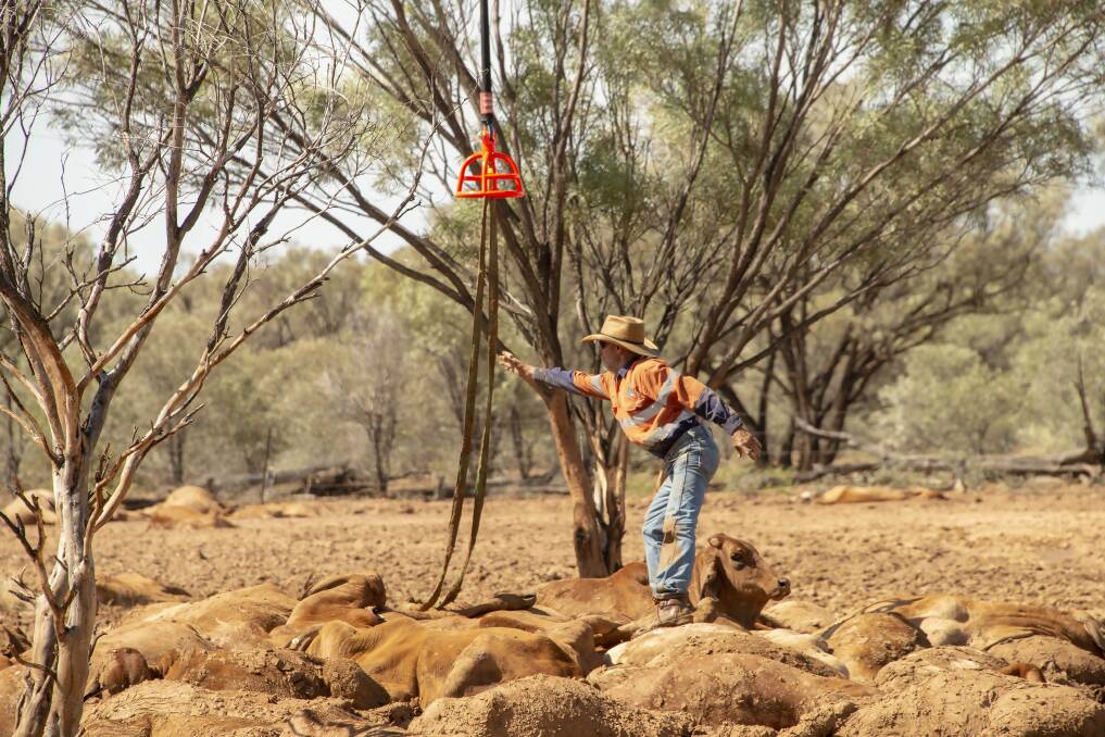 This photograph contributed by Cloncurry's Jacqueline Curley epitomises the feeling of our agricultural mastheads - the north west is reaching out help, and we are there to give it.