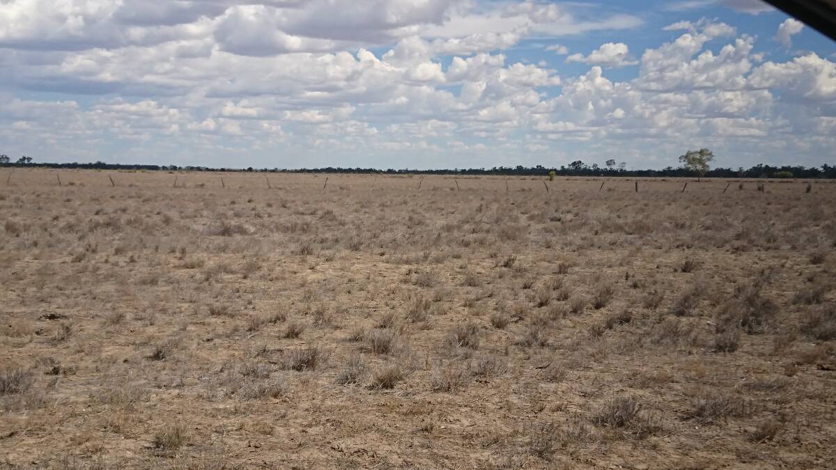 Ongoing dry: Paddocks unable to support stock, such as these in the Blackall district, have meant cashflows and employment opportunities have remained negligible throughout 2017. Picture: Sally Cripps.