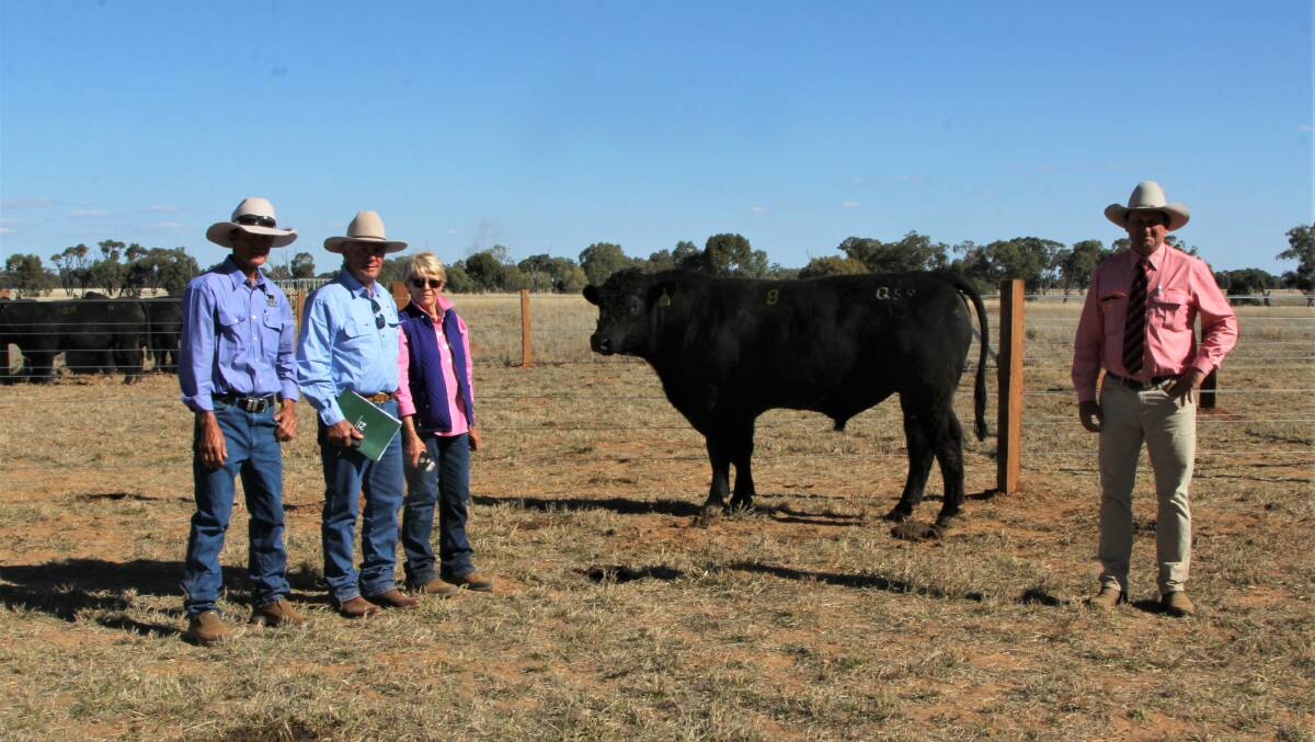 Fairview principal Tony Horvath with Bim and Susan Struss, Havelock, Mitchell, purchasers of the top priced bull, and Elders Mitchell's David Phillips. Photos: Sally Gall