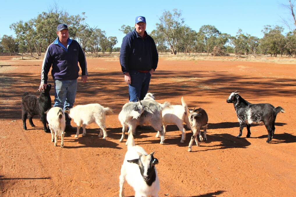 John Hodgen, Riccatoon, Charleville, and Nutrien Charleville's Gus Foott with some poddy kid goats.