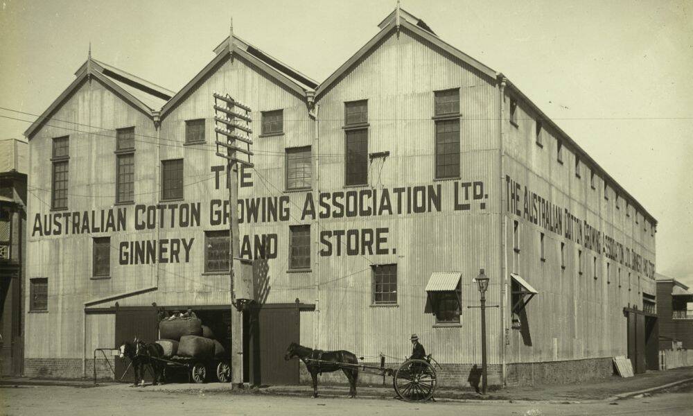 The first gins erected by Queensland Cotton in 1922 were in Brisbane and this one in Rockhampton. The gins were designed on the Lummus automatic system averaging three bales per hour. Pictures supplied.