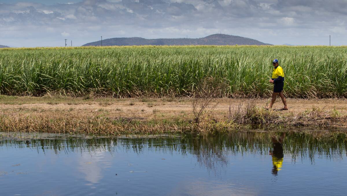 Sugarcane farmer Vince Papale at his property at Home Hill, 90 kilometres south of Townsville, in 2016, where he built a wetland that traps and filters pollution off his farm. Photo by Jason South.