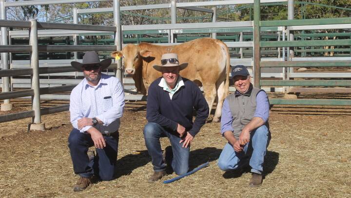 Lambert principal Scott Bredhauer, centre, with Danny and Murray Allan, JM Allan and Sons, Erne, Blackall, purchasers of the top priced Charbray bull.
