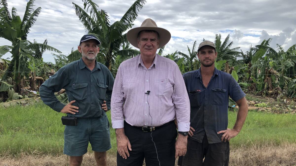 Australian Banana Growers Council chairman Stephen Lowe and Innisfail banana farmer Stephen Wells flank Agriculture Minister Mark Furner during his weekend visit to inspect the damage caused by Cyclone Niran.