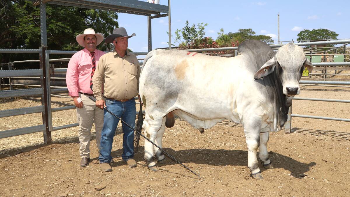 Elders studstock representative Anthony Ball and vendor Scott Angel with Glengarry S Snap Shot 124, the top priced grey Brahman. Picture: Sally Gall