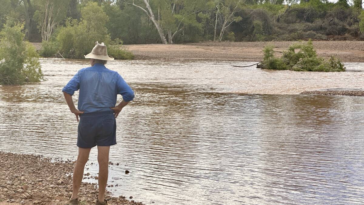 Robert Curley checking out the first flow in the Cloncurry River at Gipsy Plains this summer. Picture: Jacqueline Curley