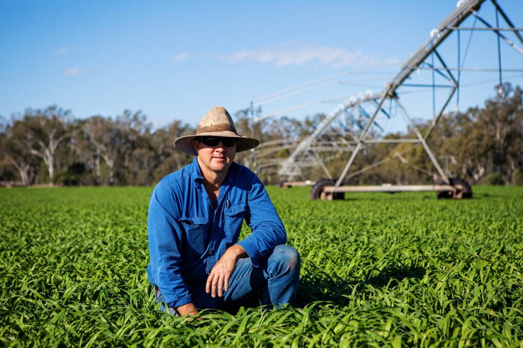Steven Raine, Idlewood, Wowan is one of many growers left high and dry by a government decision to cut groundwater allocations to the area. Photos: Tania Raine