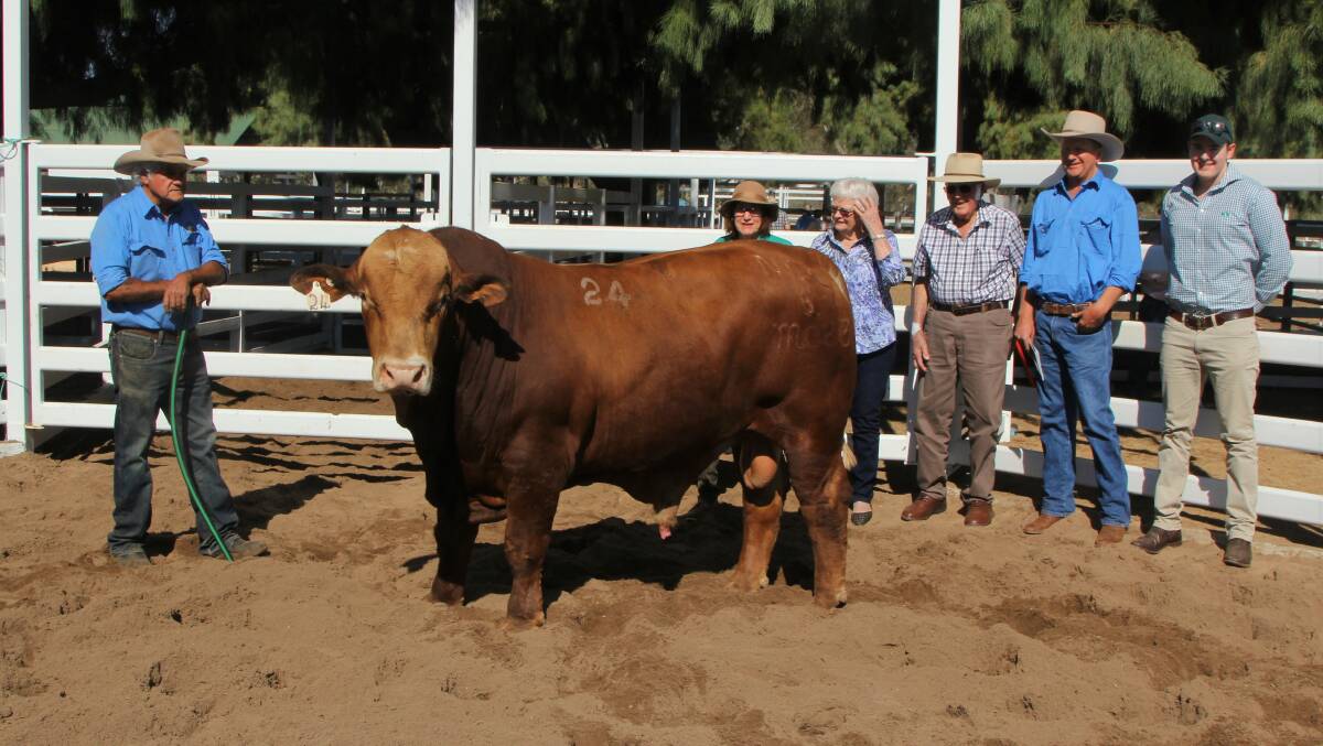 Pictured with the top priced bull are Reuben, Jill Mobbs, Beverly, Graham and Ross Shapcott, Reynella, Augathella, and Suncorp's Luke Radford.