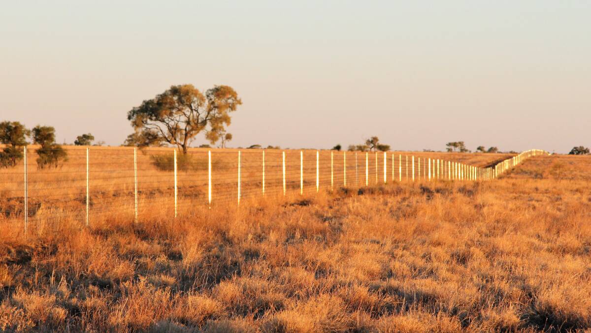 The Blackall-Tambo Regional Council is promoting QRIDA sustainability loans rather than a shire-sponsored loan scheme for landholders planning exclusion fencing work.