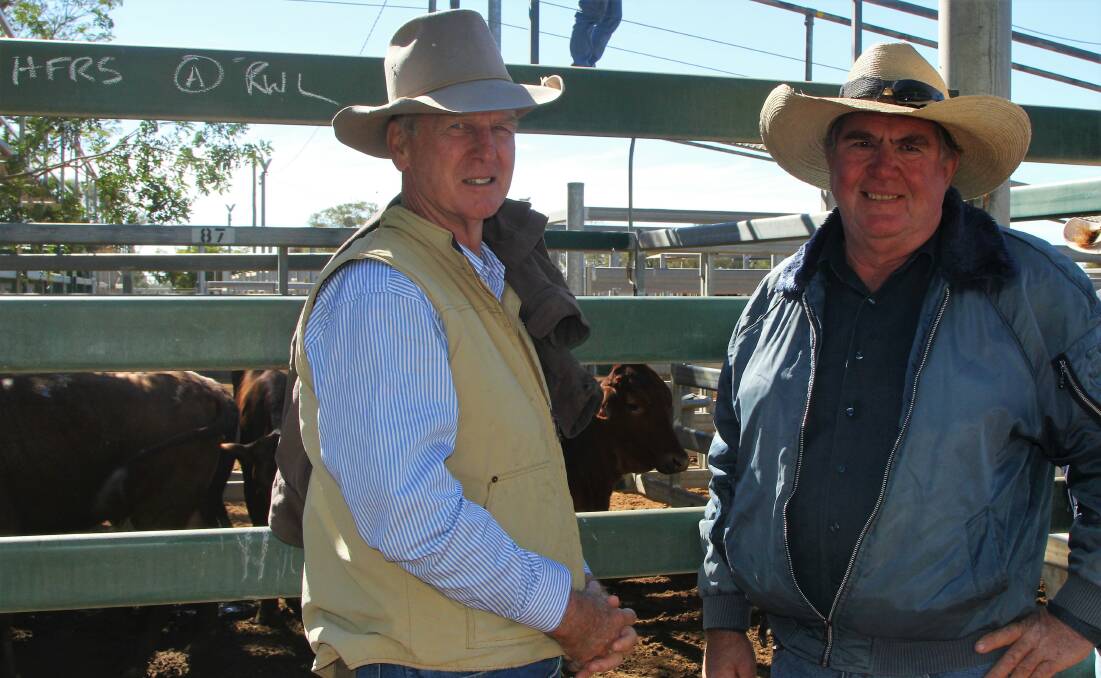 Belyando Livestock and Property agent Ed Wood and Jericho's Michael Wells at the completion of their purchase of young heifers at the Blackall sale. Pictures - Sally Cripps.
