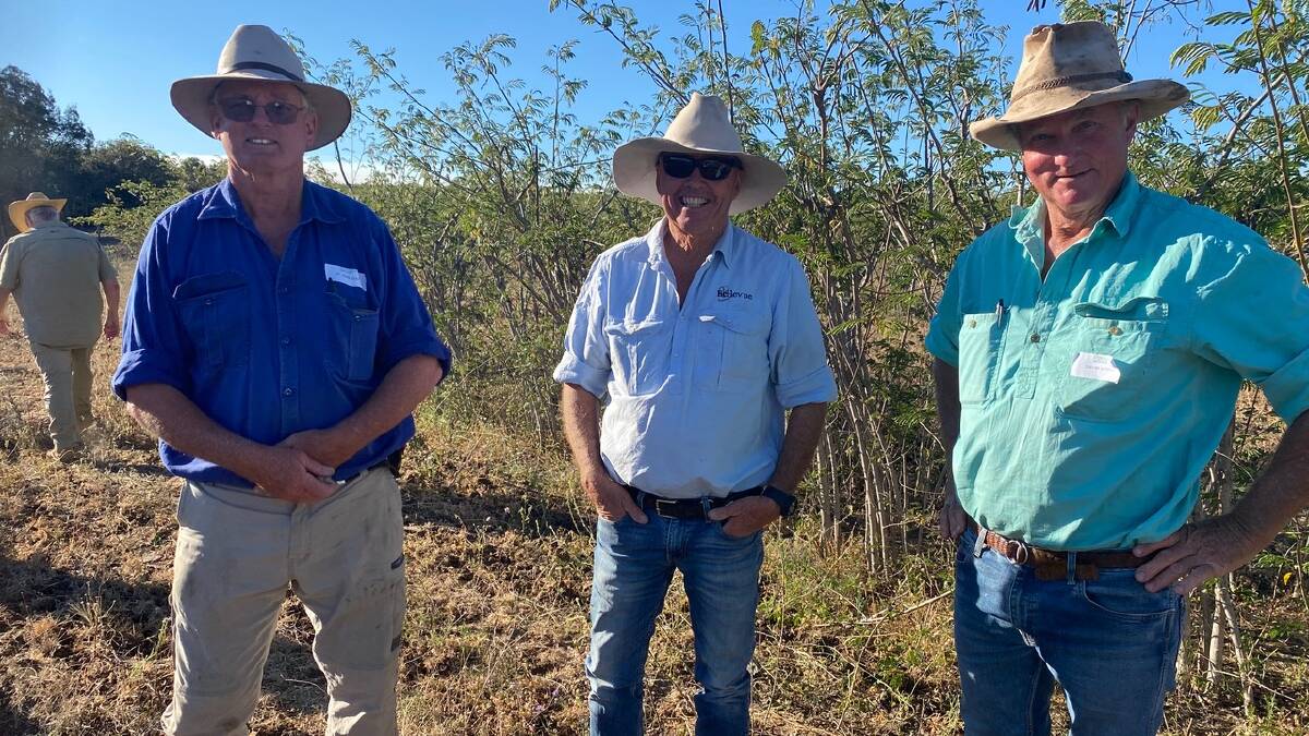 St John Kent, David Curtis and David Cowley travelled to Millmerran for the field day opportunity.