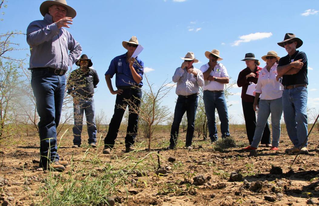 Mitchell grass questions: Longreach-based Department of Agriculture principal grazing land scientist, David Phelps, answering questions about the viability of seed after years of drought. Picture: Sally Cripps.