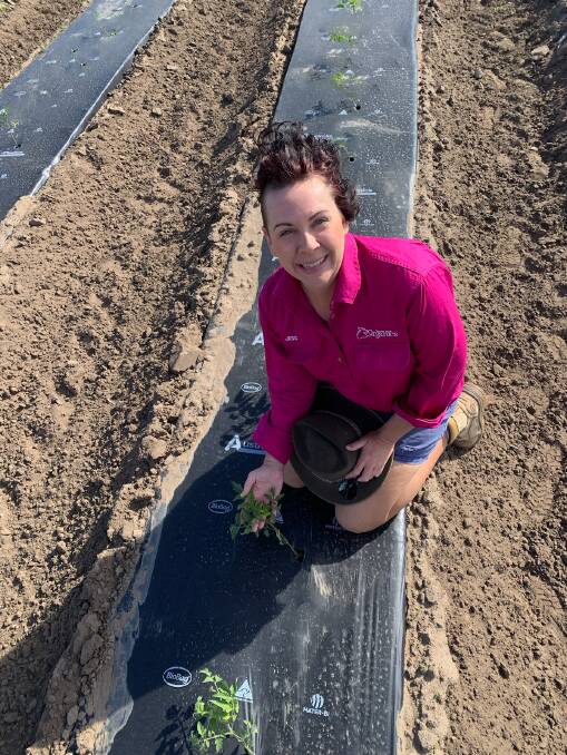 Jess Volker and the biodegradable mulch used on her Bowen property. Picture supplied.