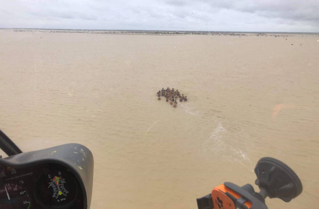 David Fox moving cattle on Wyangerie, north of Richmond, during the February 2019 flooding.