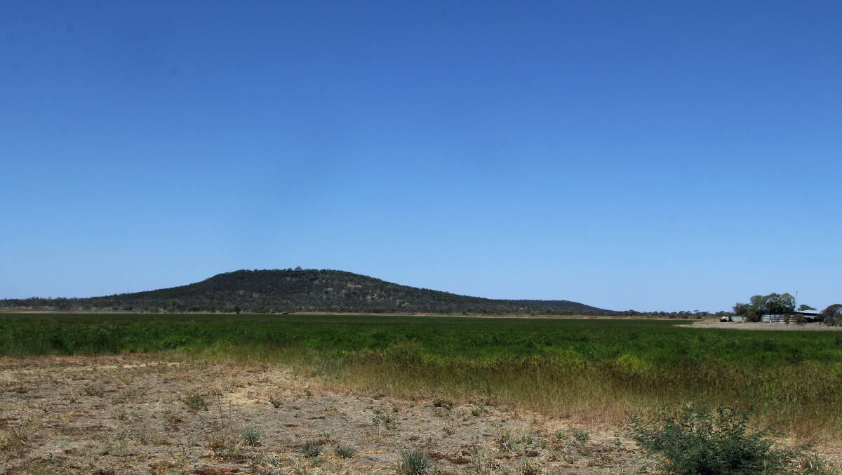 The site of the proposed Hughenden Irrigation Project.