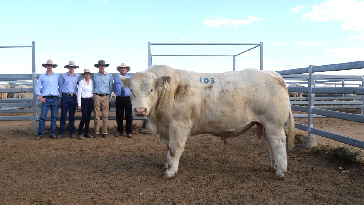 ANC's Oscar, Archie, Norah and Andrew Cass, plus GDL studstock agent Peter Brazier, and the top priced bull of the sale. Picture: Sally Gall