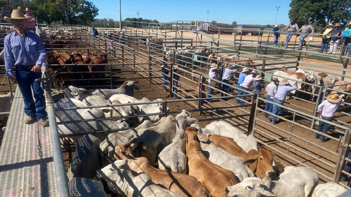 Reduced yarding at Charters Towers
