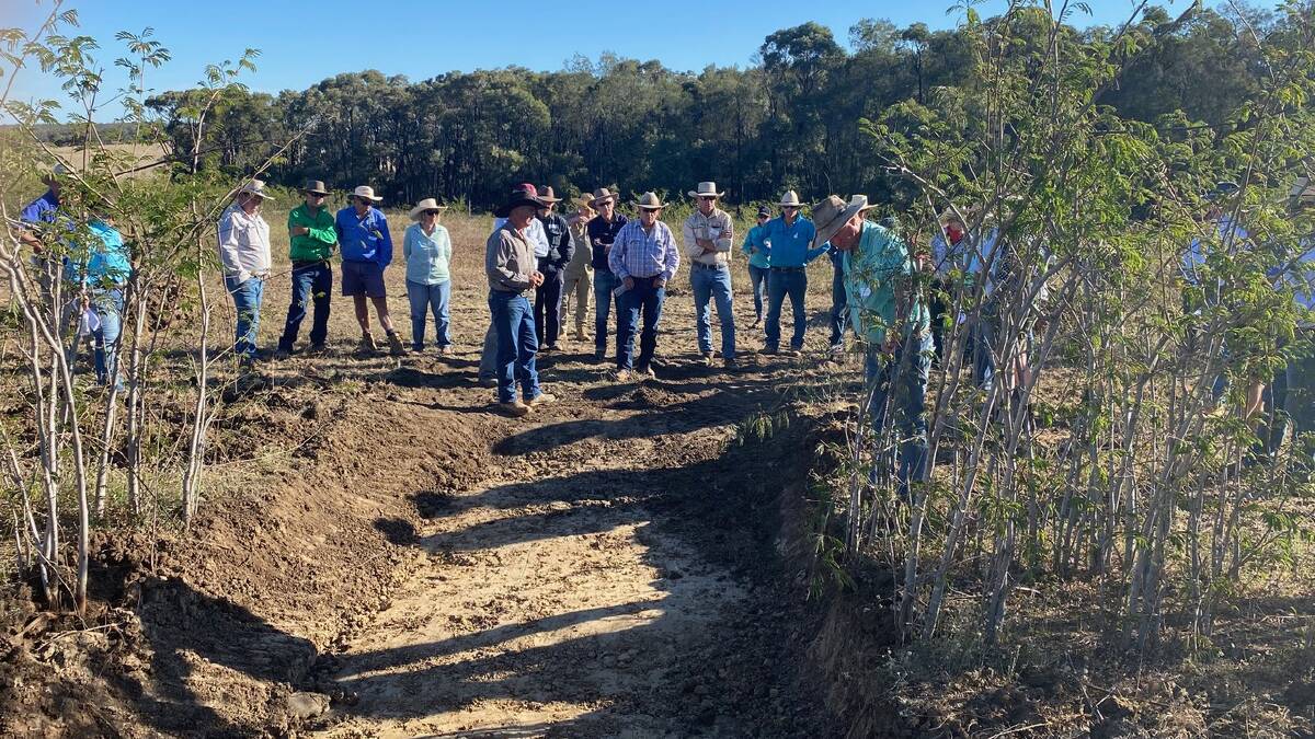 Bill and Nikki MacQueen excavated a soil pit to show attendees the root structure of leucaena and the soil structure under leucaena plantings.