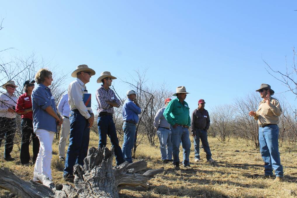 Concerned landholders taking part in a prickly acacia field day at Barcaldine in 2014, run by Desert Channels Queensland. Picture - Sally Cripps.