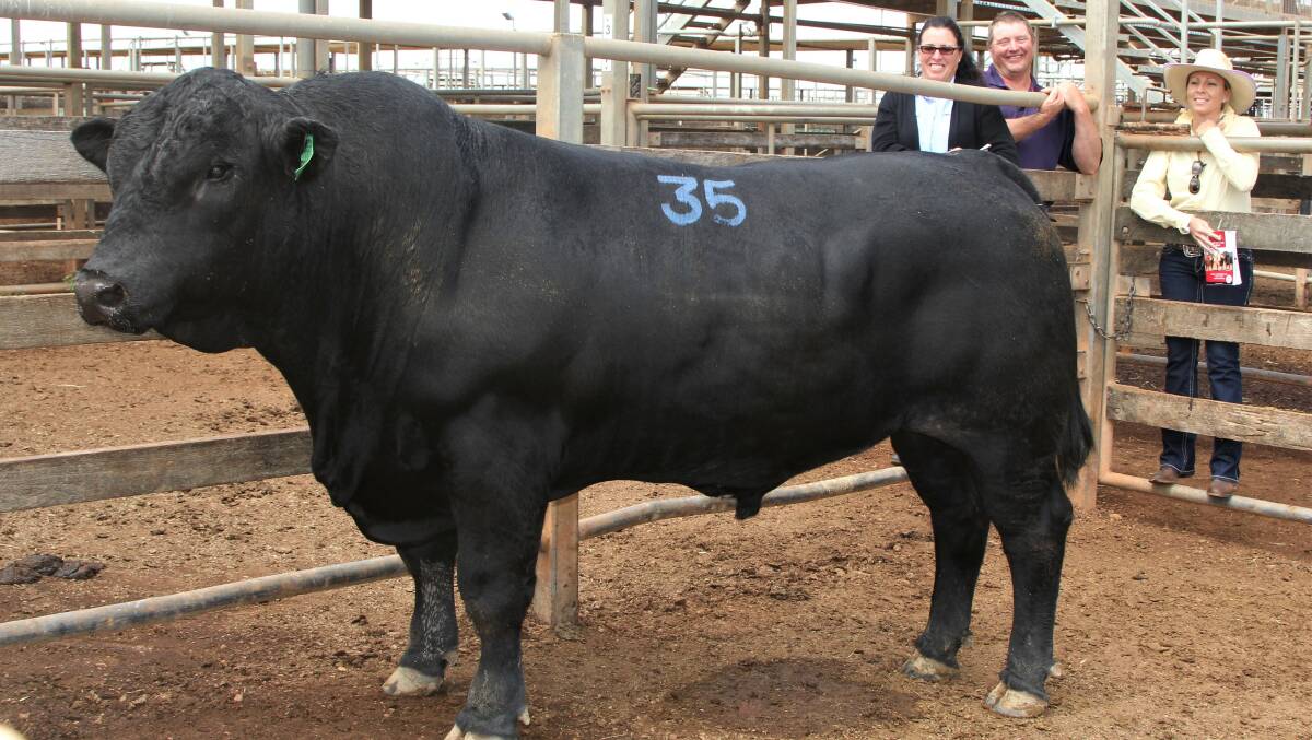 Paying the equal top price of $16,000 for the Casa Toro bulls on offer at the sale were John and Cathy Beitz, Amby, pictured with vendor Claire York.