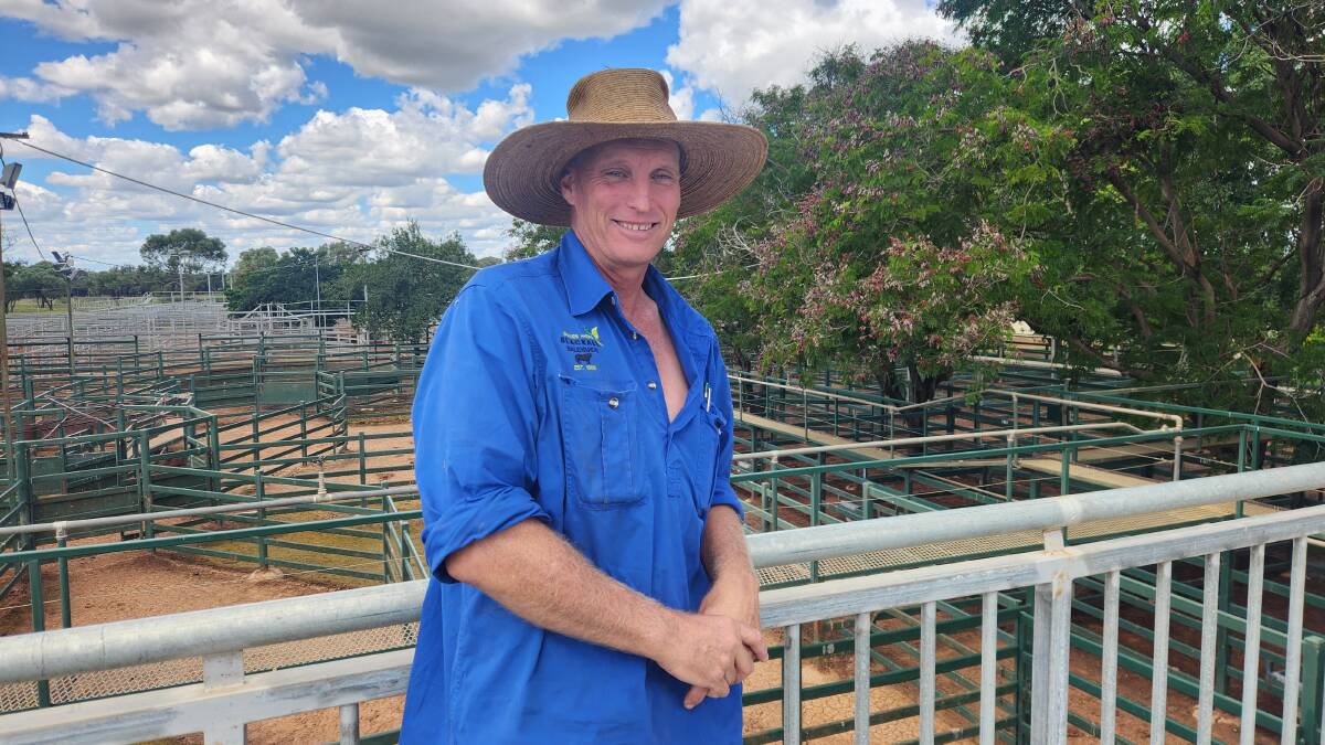 New Blackall saleyards manager Dan Burton preparing pens in the calm before the storm of road trains arriving with consignments for Thursday's sale. Picture: Sally Gall
