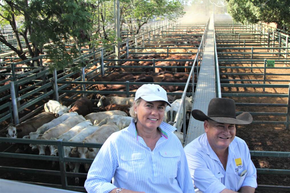 Anne Sprague, Neverfail, Blackall and Ray White Livestock Blackall representative Andrew Turner checking some of the Charolais, Droughtmaster and Santa Gertrudis-cross steers sold by the Spragues for 430.2c/kg to GDL Meandarra.