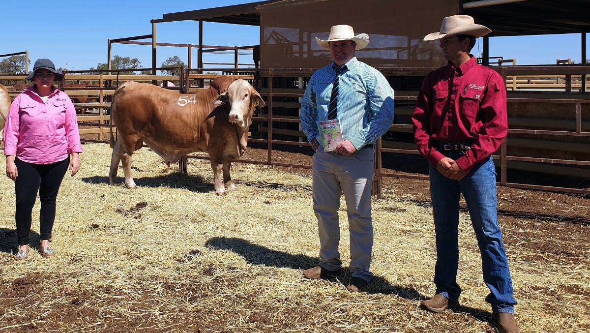 Valera Vale representatives Nikki Cleary and Robert Haigh, pictured with the top priced bull and Trent McKinlay, Landmark.