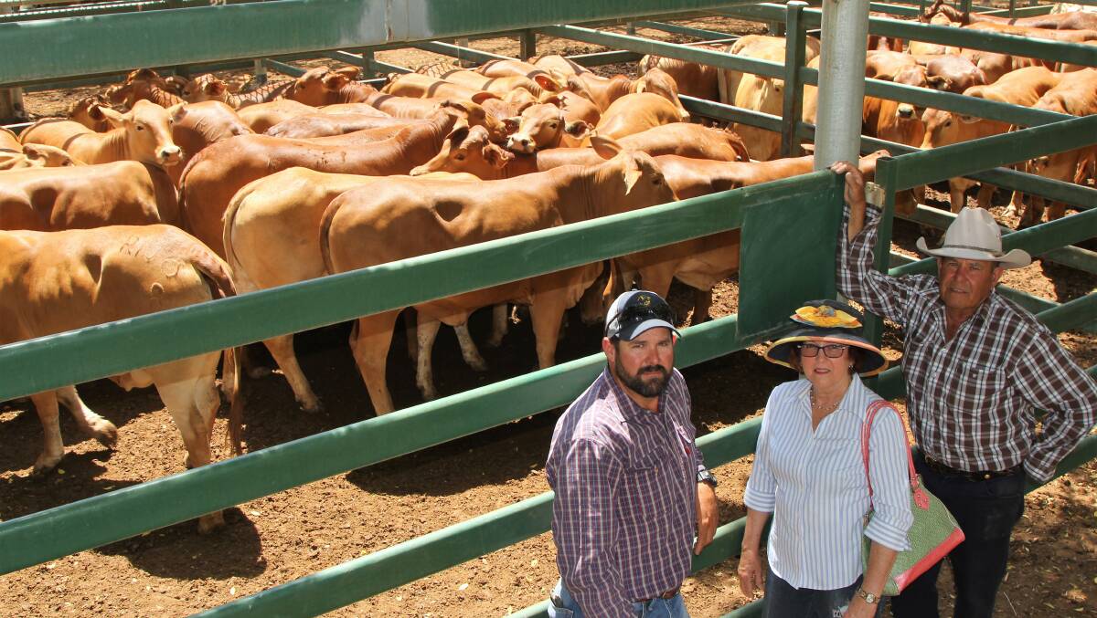 Brant, Sharleen and Keith Bettridge, Mt Wilga, Alpha, waiting for pens of their Droughtmaster heifers from Leebrook at Aramac to be sold at Blackall. Picture - Sally Cripps.