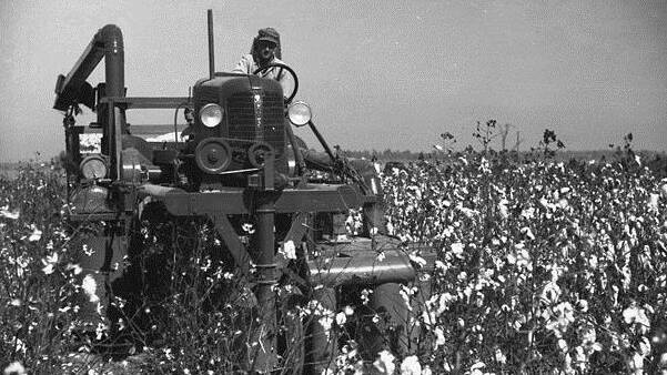 In 1939, The Queensland Cotton Board imported the first cotton picking machine, putting it into operation in 1940.