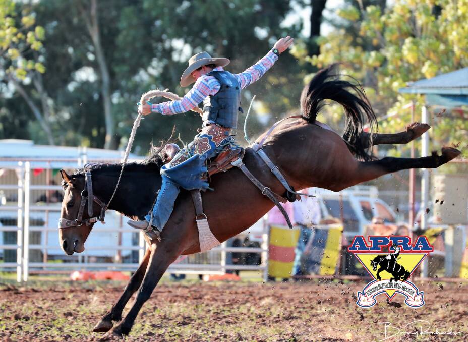 With Charters Towers' reputation for hosting rodeos, perhaps Australian Survivor contestants could take on buckjumpers like these at the Dalrymple Equestrian Centre. Photo: Barry Richards Photography