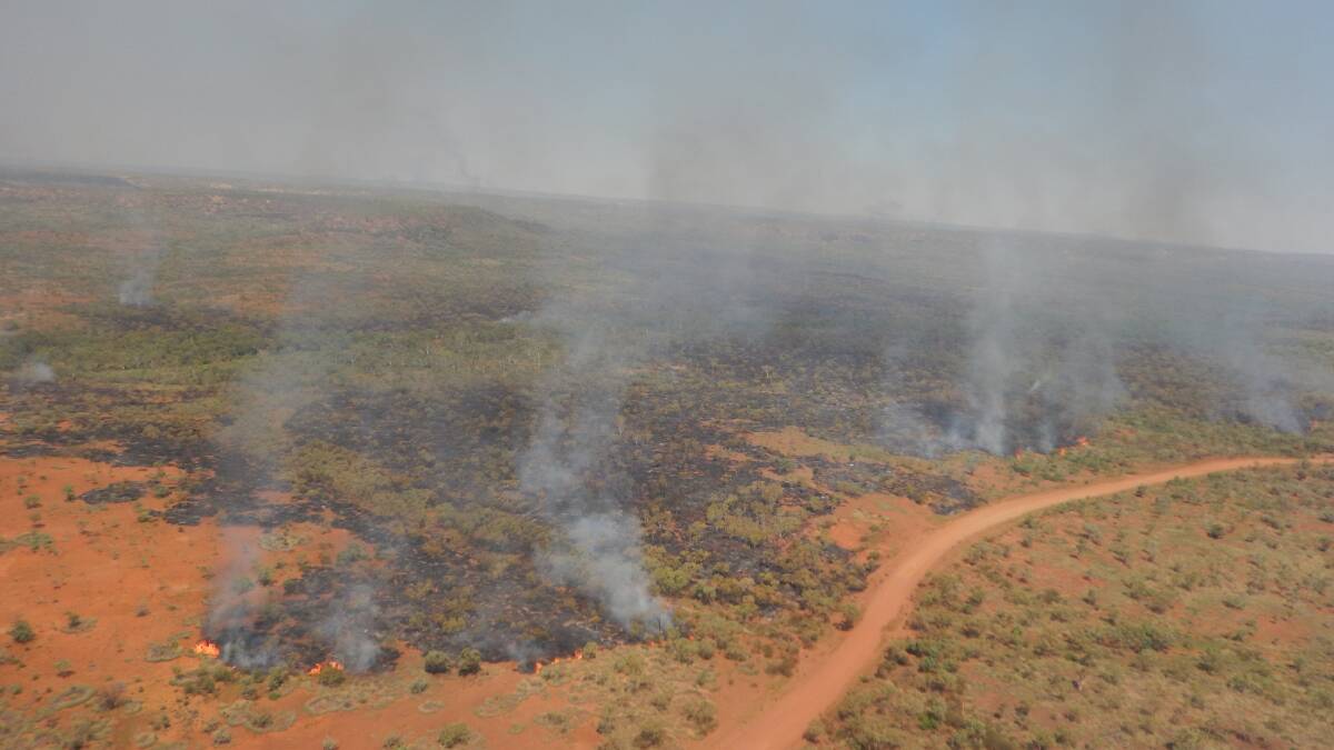 Incendiary devices distributed from a helicopter under the guidance of Mick Blackman from Friendly Fire Ecological Consultants were used to light the fires. Picture - Southern Gulf NRM.