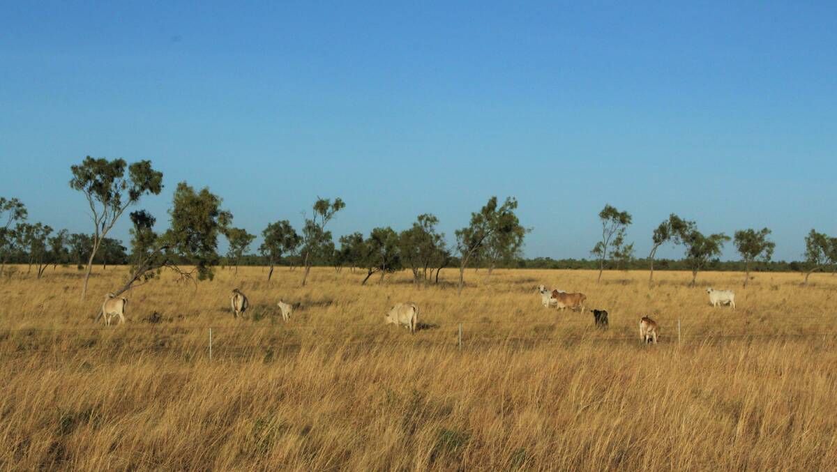 AgForce CEO Mike Guerin said the dialogue had lifted the profile of Queensland's rangelands and they planned to stay engaged with the process.