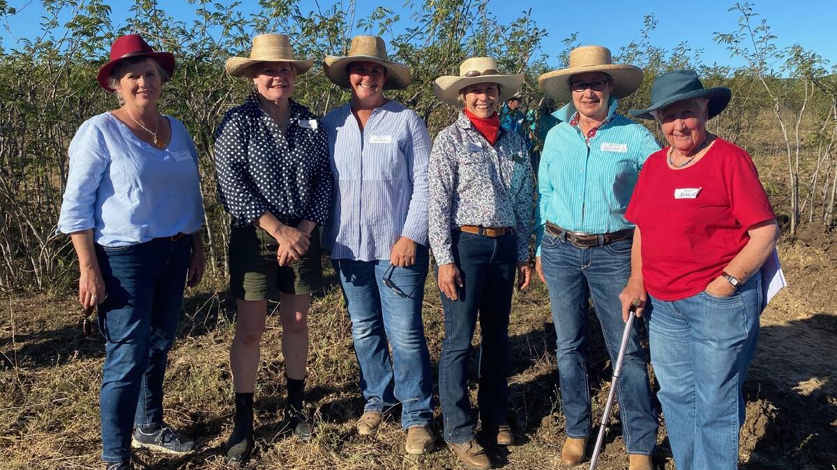 Linda Birch, Robbie Curtis, Nikki MacQueen, Deb Reid, Sally Terry and Nellie MacQueen inspecting the established plantings at Millmerran.