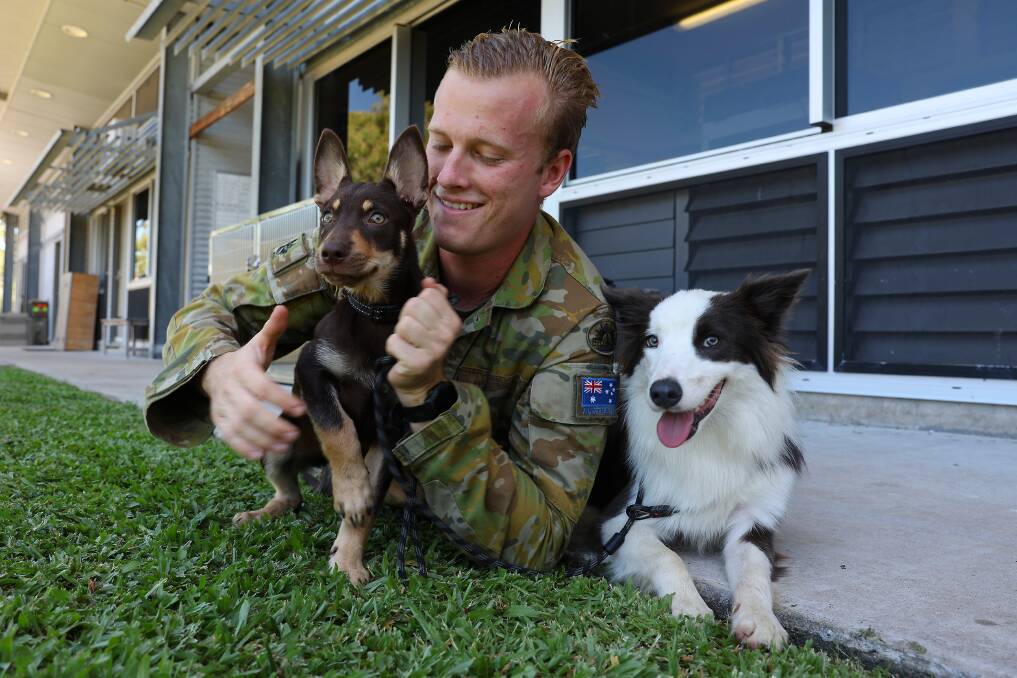 Australian Army Sapper Flynn Skerke-Erwin, of the 3rd Combat Engineer Regiment, with trainee explosive detection dogs Joey, left, and Ash. Picture: Warrant Officer Max Bree