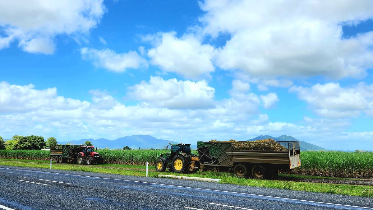 Dry weather means the sugarcane harvest is in full swing in Queensland. Picture: Sally Gall