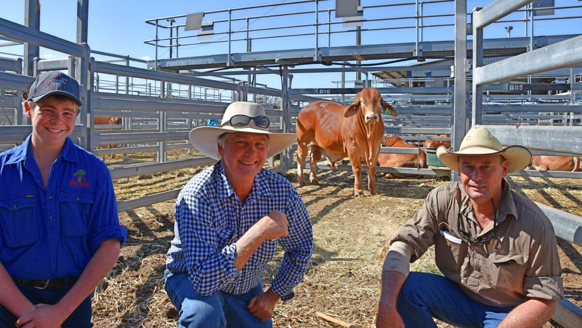 Top price day one National Droughtmaster bull sale buyers, Lawson and Warren Kenny, Wajatryn Droughtmaster Stud, Gayndah with vendor Jason Spann, Minlacowie Droughtmaster Stud, Goovigen and $55,000 Minlacowie Vinnie 8817 (H) bull. Picture - Martin Bunyard.