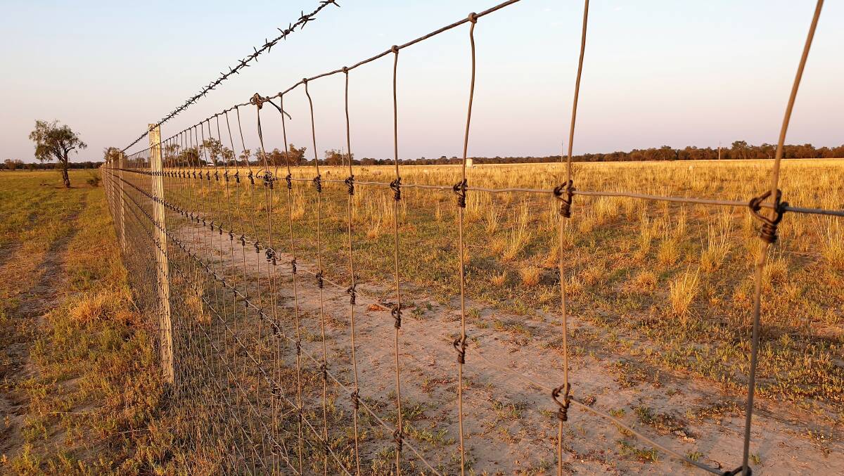 Exclusion fences are not the end of the story as far as wild dog control goes, AgForce's newest wild dog coordinator Ray Aspinall says. Picture - Sally Cripps.