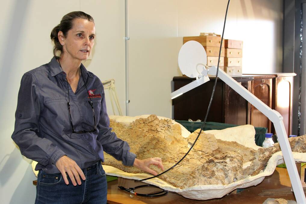 Robyn Mackenzie talks about the natural history museum's many fossils during a tour.