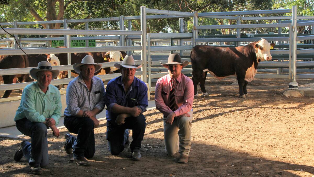 Scott Bredhauer with Tony and Bevan Hauff, The Springs and Colart, Blackall, and Joe Groves, Elders Barcaldine, and the top priced Hereford bull.