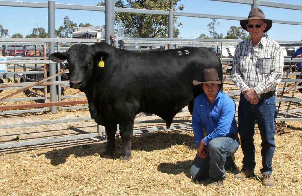 Top priced bull of the sale Lunar N89 with Riley Comisky and purchaser Clive Poole, Prairie. Pictures - Sally Cripps.